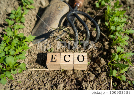 ECOのイメージ 100903585