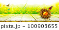 Easter background with colorful easter eggs on wooden background. 100903655