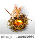 Funny Easter bunny. Happy Easter holiday concept. 100903669