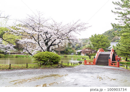 桜のある風景（神奈川県・横浜市・金沢区・称名寺） 100903734