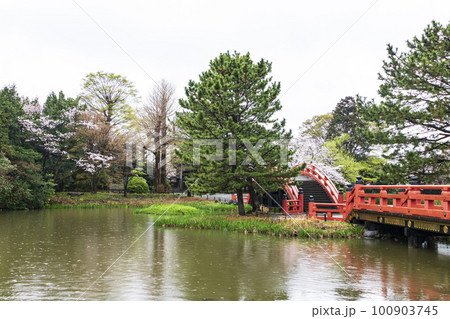 桜のある風景（神奈川県・横浜市・金沢区・称名寺） 100903745
