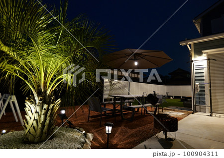 ヤシの木のあるアメリカンガレージハウス 100904311