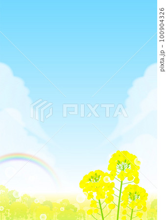 菜の花畑と虹と青空 風景 100904326