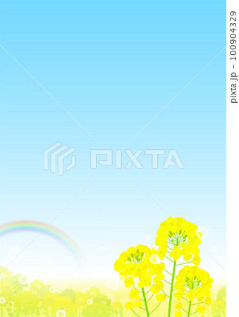 菜の花畑と虹と青空 風景 100904329