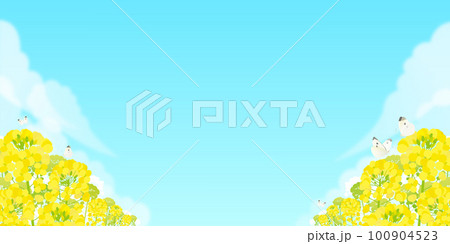 菜の花と蝶と青空の風景 100904523