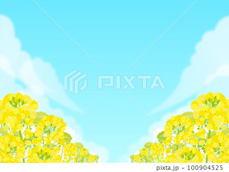 菜の花と青空の風景 100904525