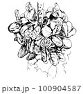 ペンで描いたハナズオウ（誕生花4月6日） 100904587