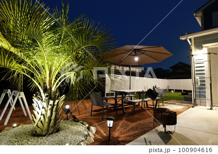 ヤシの木のあるアメリカンガレージハウス 100904616