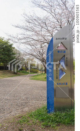 【千葉県千葉市】おゆみ野四季の道・春の道(有吉公園付近)と桜 【千葉県千葉市】おゆみ野四季の道・春の道(有吉公園付近)と桜 100905565
