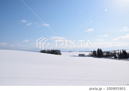 冬の美瑛の赤い屋根のある丘 北海道 冬の美瑛の赤い屋根のある丘 北海道 100905901