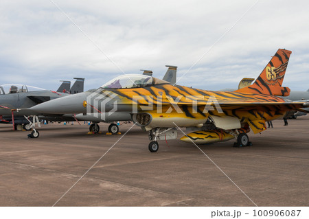 ベルギー空軍F-16MLUトラ柄 100906087