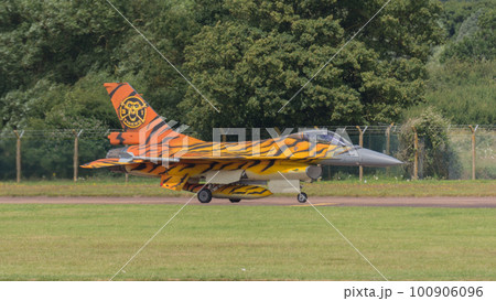 ベルギー空軍F-16MLUトラ柄 100906096
