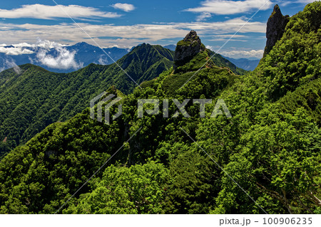 八ヶ岳連峰・真教寺尾根から見る大天狗・小天狗の岩峰と権現岳・南アルプス 八ヶ岳連峰・真教寺尾根から見る大天狗・小天狗の岩峰と権現岳・南アルプス 100906235