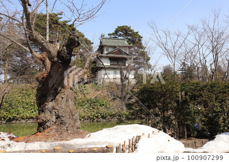 青空の弘前城 辰巳櫓 重要文化財 弘前市 青森県 青空の弘前城 辰巳櫓 重要文化財 弘前市 青森県 100907299