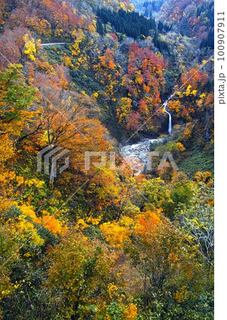 秋の田麦俣 100907911