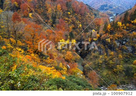 秋の田麦俣 秋の田麦俣 100907912