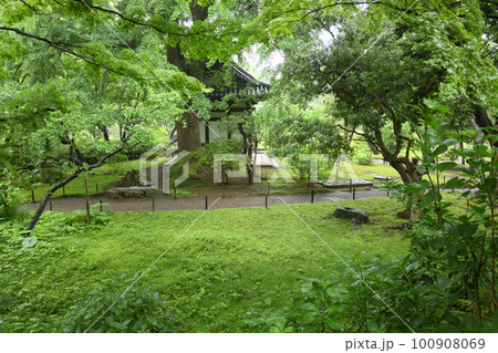 雨の三溪園　新緑 100908069