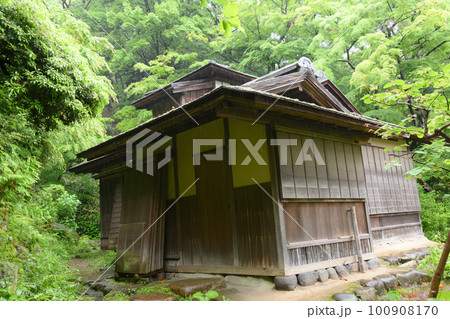雨の三溪園　新緑 100908170