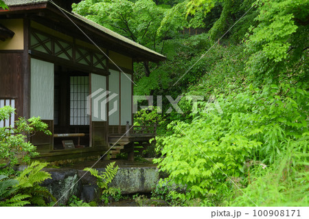雨の三溪園 新緑 雨の三溪園 新緑 100908171