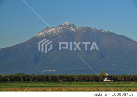 リンゴの収穫なか岩木山に薄っすらと初雪が降る リンゴの収穫なか岩木山に薄っすらと初雪が降る 100908418