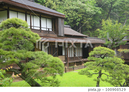 雨の三溪園　新緑 100908529