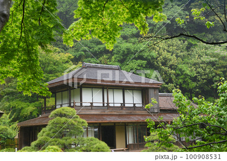雨の三溪園　新緑 100908531