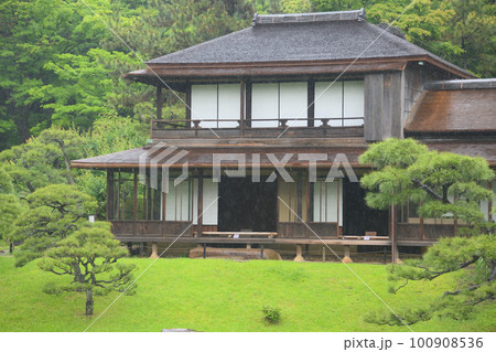 雨の三溪園　新緑 100908536