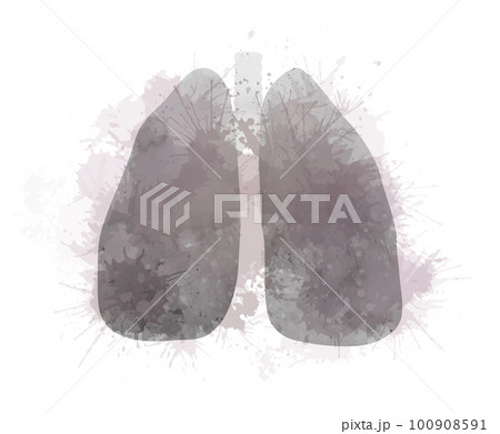 Vector watercolor illustration of diseased lungs with splashes. Smoky respiratory system with dye sprays. Silhouette gray from smoke ill lungs 100908591