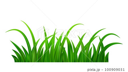 Green grass meadow border 100909031