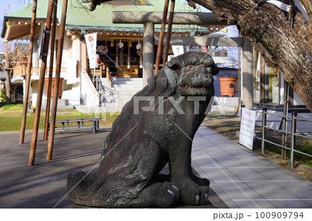 豊受神社　狛犬　千葉県浦安市猫実 100909794