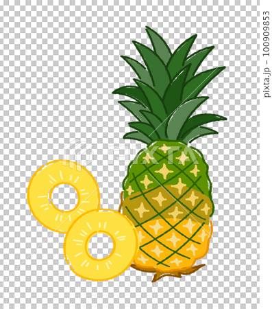 菠蘿 100909853