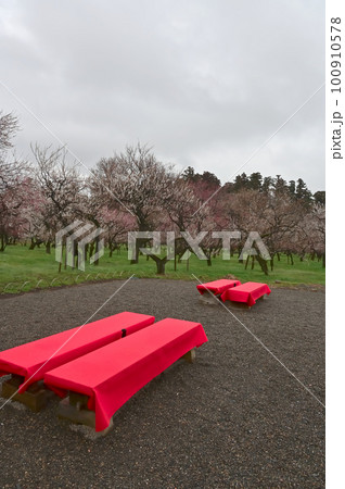 水戸の偕楽園 水戸の偕楽園 100910578