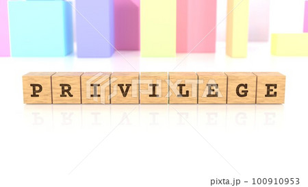 PRIVILEGEの文字が印字された木製ブロック 100910953