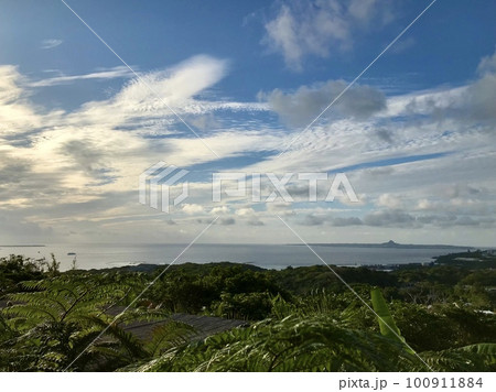 亜熱帯茶屋からの眺め 亜熱帯茶屋からの眺め 100911884