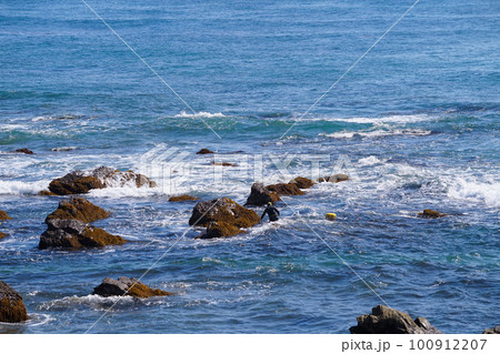 南房総 和田浦海岸の岩礁地帯と素潜り漁師【千葉県南房総市】 100912207