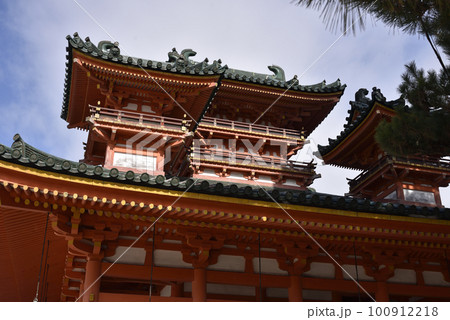 蒼龍桜 平安神宮 蒼龍桜 平安神宮 100912218