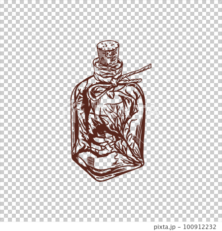 Herbs set, ginseng. Glass bottle with tincture. Vector vintage illustration. 100912232