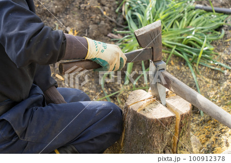 切り株を斧で割る庭師 100912378