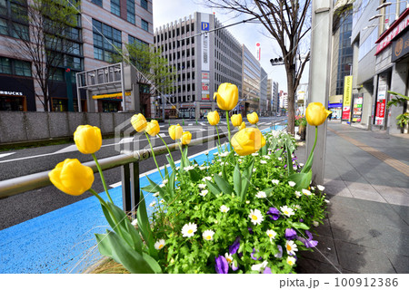博多駅前通り 博多駅 博多 福岡市博多区 福岡イメージ風景 博多駅前通り 博多駅 博多 福岡市博多区 福岡イメージ風景 100912386