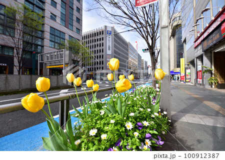 博多駅前通り　博多駅　博多　福岡市博多区　福岡イメージ風景　 100912387