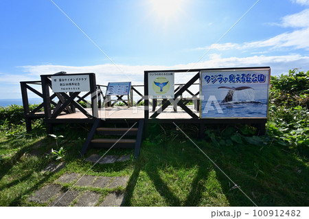 クジラの見える丘公園展望デッキ 100912482