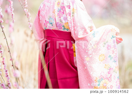 早春の枝垂れ梅の前でポーズをとる和服姿の女性 100914562