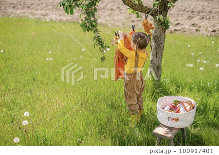 A little girl with pigtails in a yellow sweater and overalls on suspenders hangs wet laundry to dry on a clothesline in the garden under a tree A little girl with pigtails in a yellow sweater and overalls on suspenders hangs wet laundry to dry on a clothesline in the garden under a tree 100917401