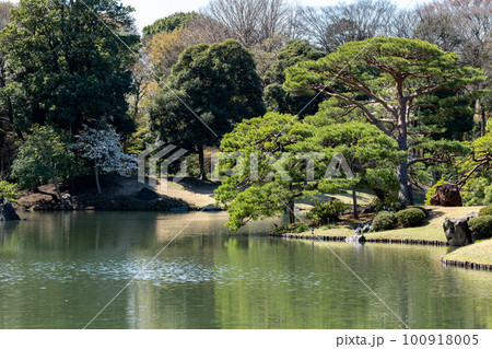 日本庭園の春 東京 六義園 3月 日本庭園の春 東京 六義園 3月 100918005