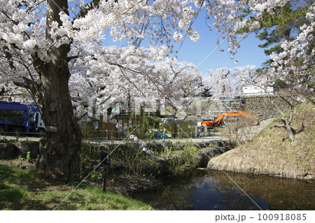 春の弘前城石垣修理風景(2021年:青森県弘前市) 春の弘前城石垣修理風景(2021年:青森県弘前市) 100918085