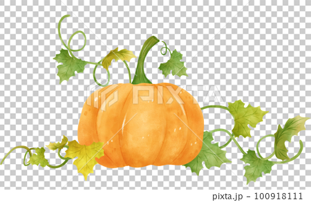 pumpkin sprout clipart