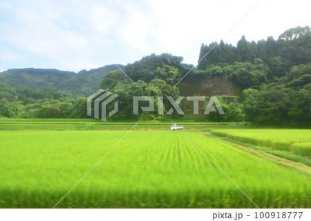 2022年夏の早朝、曇り空の日豊本線山之口駅から鹿児島駅までの風景 100918777