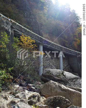 紅葉に囲まれた木曽の桟 紅葉に囲まれた木曽の桟 100918905