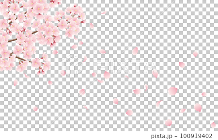 花びら散る桜のイラスト 100919402