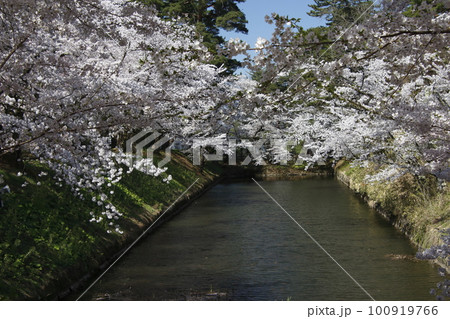 弘前公園の中濠(青森県弘前市) 弘前公園の中濠(青森県弘前市) 100919766